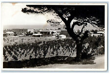 c1940's General View Casino in Left St Pierre Beach Canada RPPC Photo Postcard picture