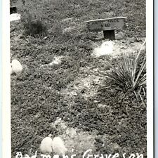 c1940s Dodge City, KS Boothill Grave RPPC Angel Face Kid 1875 Real Photo PC A100 picture