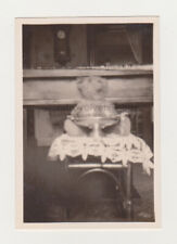 TEDDY BEAR Toy Surreal Abstract Weird Odd Unusual 1920's Antique Snapshot  picture
