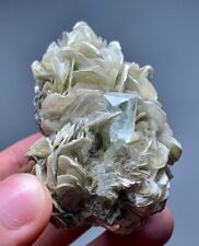 525 Carats Natural Aquamarine Crystal Specimen From Skardu @Pakistan picture