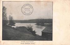 North Meadow Pond North Blandford Conn. c.1908 Postcard A384 picture