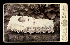 Outdoor Postmortem CDV Photo of Tiny Baby in Coffin Sweden 1800s picture