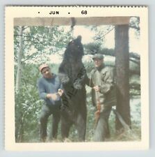 Two Men Standing Next to Black Bear Hunting 1968 60s Photo Picture Archery Bow picture