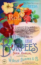 1898 Burpees Vintage Farm Ann  Garden Flower  Seed  Catalogue Poster Art Print  picture