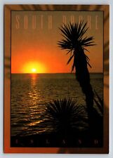 South Padre Island Texas Tropical Sunset Unposted Postcard picture