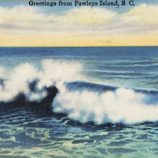 Pawleys Island South Carolina Breaker White-Crested Foam Waves Shore Postcard K7 picture