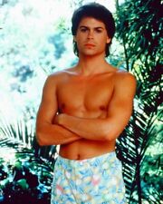 Rob Lowe Beefcake Pose Bare Chested in Swim Shorts 24x36 inch Poster picture
