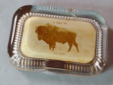 Buffalo 1901 Paperweight Pan American Exposition I was at Buffalo picture