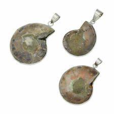 Natural Ammonite Shell Fossil Mineral Charm Pendant Jewelry Necklace Rock Gift picture