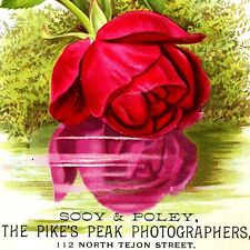 c1880s Colorado Springs CO Pike's Peak Photographers Trade Card Embossed C40 picture