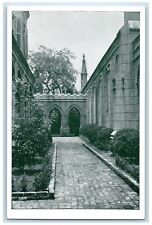 c1920's The Middle Garden Christ Church Cathedral New Orleans Louisiana Postcard picture