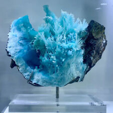 13.2LB Natural blue aragonite crystals from China-Museum level picture