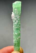 19 Cts Beautiful Terminated Tourmaline Crystal with Lepidolite Mfrom Afghanistan picture