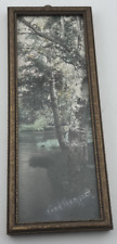 Hand Colored Photo Fred Thompson river And Birch  trees Photograph Signed Maine picture