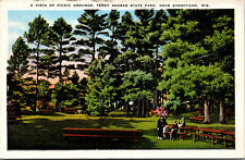 Vtg 1930s Picnic Grounds Terry Andrae State Park Sheboygan Wisconsin WI Postcard picture