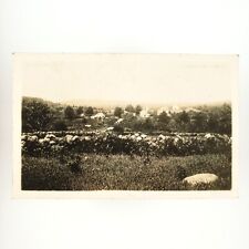 Stoddard New Hampshire Looking West RPPC Postcard 1930s Landscape Skyline A2961 picture