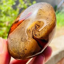 160g Large Natural Silk Banded Lace Sardonyx Agate Quartz Carnelian Crystal picture