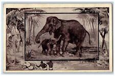 1909 Elephant Wild Animals Hunting Fowler Indiana IN Posted Antique Postcard picture
