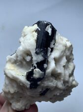 465 Cts  Black Tourmaline Crystal Specimen from Afghanistan picture