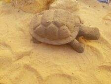 Rare Fossilized Big old Turtle 37 cm Freez Storm million years fossilized Turtle picture
