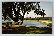 Anderson CA-California, River Park, Antique, Vintage Souvenir Postcard picture
