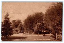 1917 Central Park Garden Trees Scene Pomona California CA Antique Postcard picture