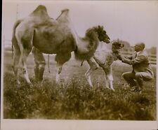 GA61 Original Underwood Photo HUGH M CALDWELL Seattle Mayor Embraces 2 Camels picture