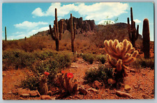 Phoenix, Arizona - The Colorful Desert - Vintage Postcard - Posted 1961 picture