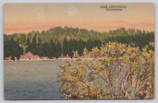 Postcard Lake Arrowhead Blue Jay CA c1955 Linen picture