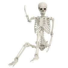 5.4 FT Life Size Skeleton Human Skull Anatomy Model with Movable Joints Medical picture
