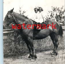 POSTCARD RPPC WEIRD Cute TWO Girls On gorgeous Big Horse STRANGE picture