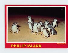 Postcard Penguin Parade, Phillip Island, Australia picture