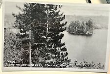 Florence Wisconsin RPPC SEA LION LAKE 1950 picture
