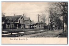 Greenville Pennsylvania PA Postcard Eagle Street Dirt Road Rotograph c1905 picture