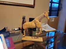 Vintage FULLY ARTICULATED ARTIST'S MODEL OF A HORSE on wood base picture