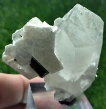 Black Tourmaline crystals combine with Quartz crystal & mica beautiful specimen. picture