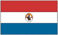 Large 3' x 5' High Quality 100% Polyester Paraguay Flag -  picture