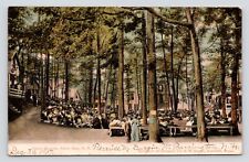 Camp Ground Alton Bay New Hampshire People Ant VTG Undivided Back c1907 Postcard picture