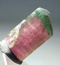 19cts Beautiful Bicolour Watermelon Tourmaline Terminated Crystal  picture
