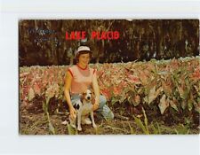 Postcard Pretty Miss Rests Beside Field of Caladiums Lake Placid Florida USA picture