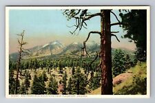 Flagstaff AZ-Arizona, San Francisco Mountains, Antique, Vintage Postcard picture