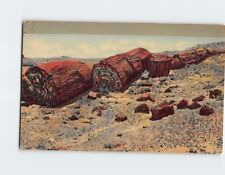 Postcard Logs of Stone Petrified Forest Arizona USA picture