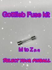 Gottlieb Pinball Machine Fuse Kit **Select Your Pinball (M to Z and #)** picture