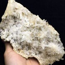 257g Natural 6 Inch Transparent White Chrysanthemum Quartz Crystal Cluster  picture