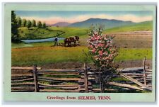 Selmer Tennessee Postcard Greetings  Horse Farm Field Exterior View 1940 Vintage picture