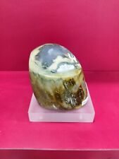 Rare Powerful energy Green petrified wood with agate crystal polished 846gr 495 picture