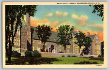 Ithaca, New York - Balch Hall, Cornell University - Vintage Postcard - Unposted picture