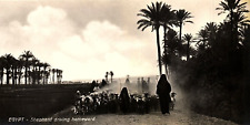 1920s CAIRO EGYPT SHEPHERD DRIVING HOMEWARD PHOTO RPPC POSTCARD P1683 picture