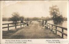 RPPC Wilber,NE Turkey Creek Bridge,Looking West,High Water,September 1923 Davis picture