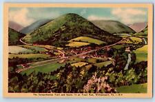 Williamsport Pennsylvania PA Postcard The Susquehanna Trail Scene c1940s Vintage picture